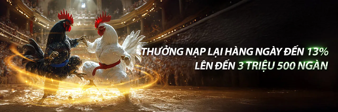 Giao diện ứng dụng vn123 trên điện thoại